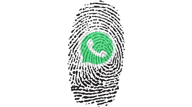 Cómo Proteger Sus Conversaciones De Whatsapp Con La Huella Dactilar Dicomania 1501
